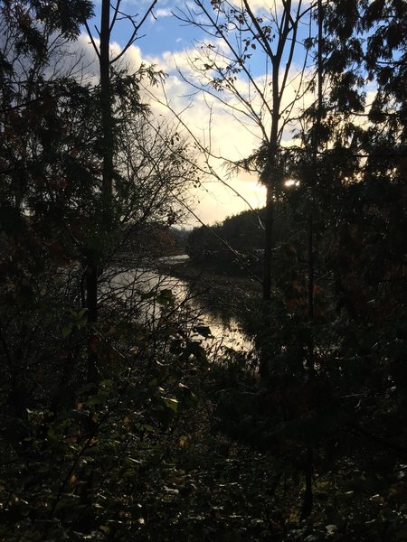 Sunrise breaking through while deep in the trails.