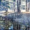 Water alongside the trail in the fall from melted snow.