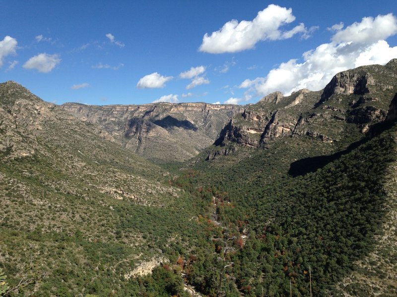 About halfway up to the top of the canyon - you can see the fall colors around the lower portion of the trail below.