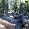 The trail as it makes its way back to Bridalveil Creek.