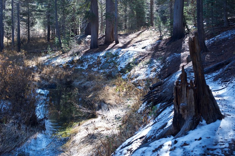 Several sections of the trail run right along Bridalveil Creek, making it a great place to experience the spring snowmelt. In the late fall, the trail can be snowy and icy.