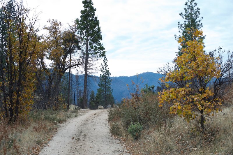 In the fall, the trees change color along the trail.