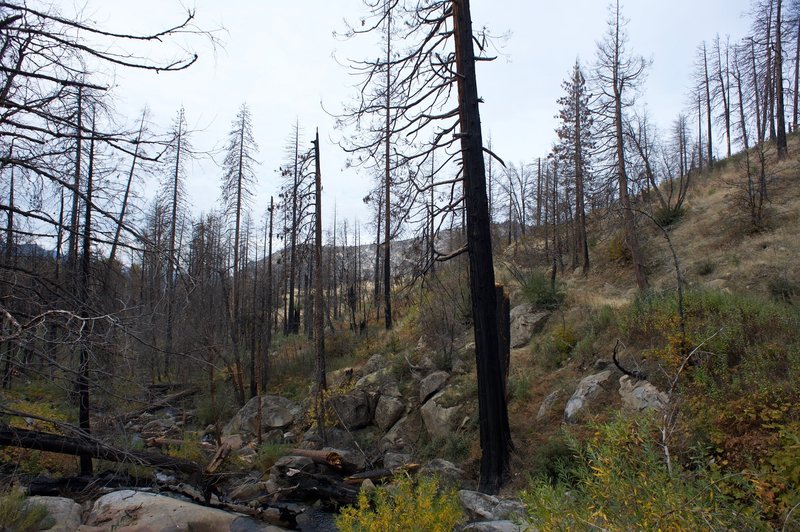 The area below the falls is littered with burnt and damaged trees from the El Portal fire.