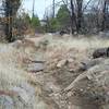 The trail climbs up the hill and is littered with wood and rocks. It is an easy climb to the top of the point.