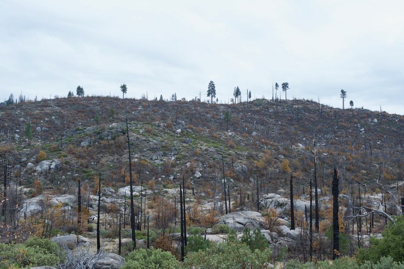 The surrounding hills above Lookout Point.