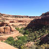 Dropping into the canyon before heading up the other side to the ruins.