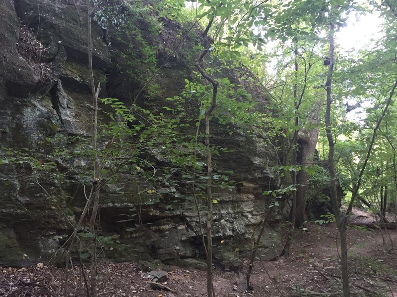 Large rock formation in the woods.