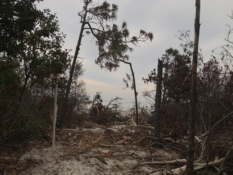 Post-Matthew wreckage.