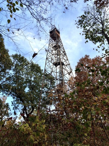 Fire lookout tower.