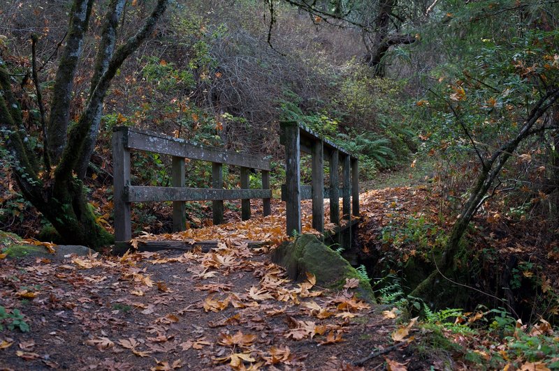 This small bridge passes over a small creek in the fall and offers views of a small waterfall on the uphill side.