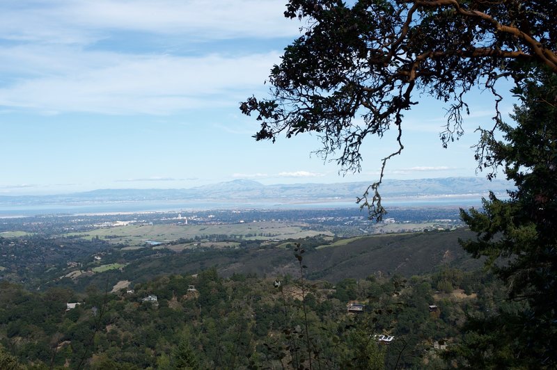 Even though most of the views are obstructed, you can see Stanford and the surrounding South Bay area from parts of the trail.