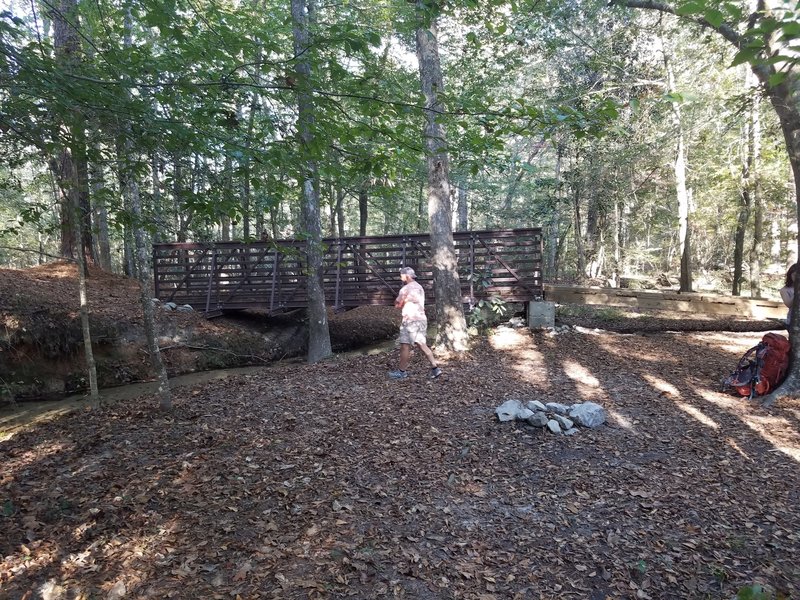 Beautiful campsite next to trail next to a small creek.