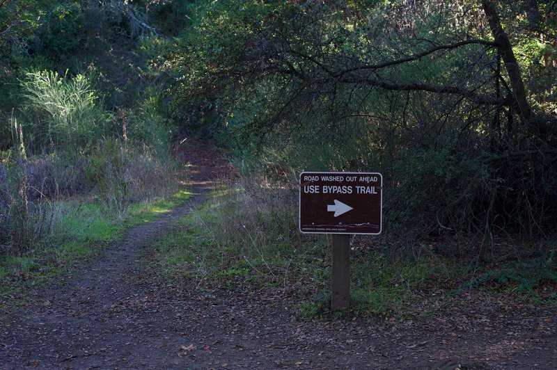 Due to Alpine Road being washed out in places, there is a bypass trail that serves as the main trail now.