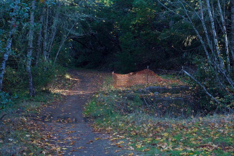 At this point in the trail, there is snow fence up to prevent mountain bikers from accidentally riding into the ravine on the right of the trail.