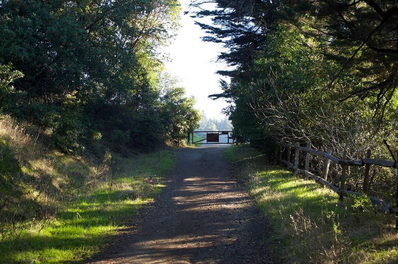 The trail approaches Page Mill Road.