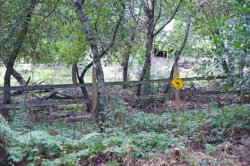 The trail swings back to the right and runs along the border of the preserve. Fences and signs indicate private property.