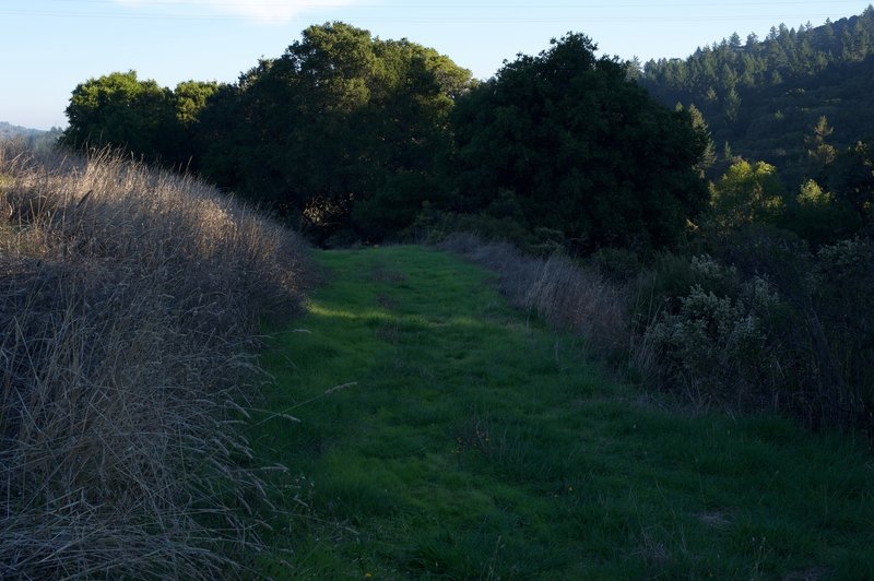 The trail to the pond descends to the right once you enter the preserve along this wide, grassy path.