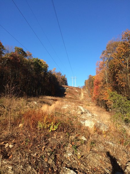 Trail crossing the power lines.