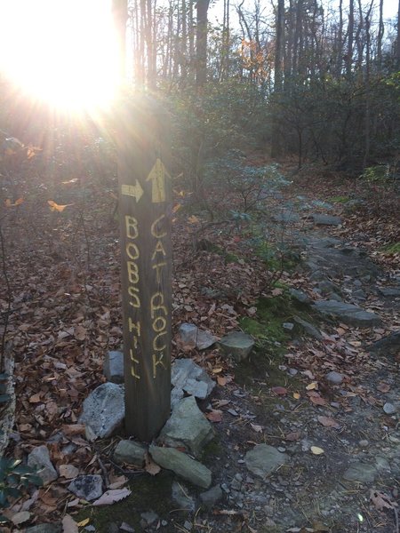 Signpost marking intersection of Cat Rock Overlook and Bobs Hill Trail.