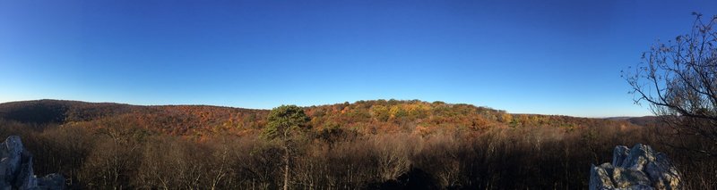 View from Cat Rock.