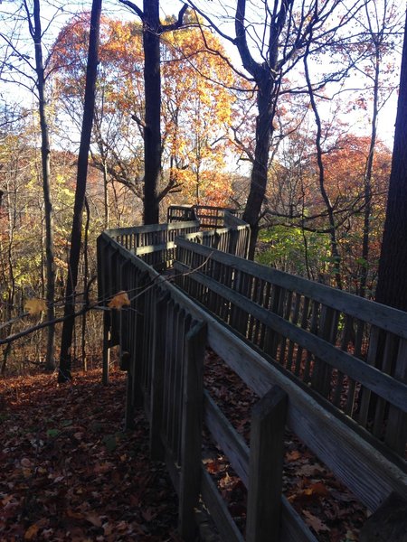 Tree top lookout bridge in fall.