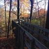 Tree top lookout bridge in fall.