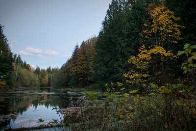 Twilight over Geneva Pond, Stimpson Family Nature Reserve.