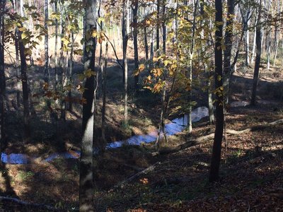 The stream feeding the lake.