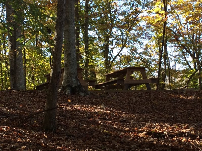 Picnic tables - a good place.