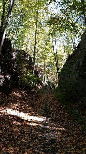 Shale removed for the train to pass through when this trail was once a rail bed.