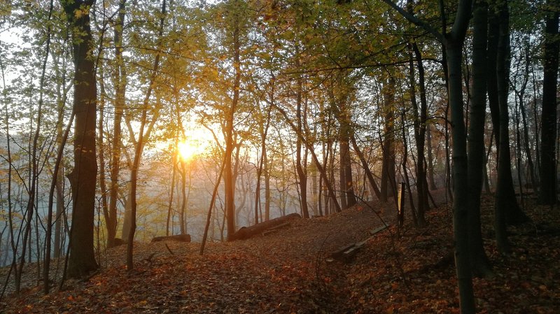 Rising sun and last glimpse of fall.