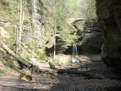 View from the lower dell at Matthiessen State Park.