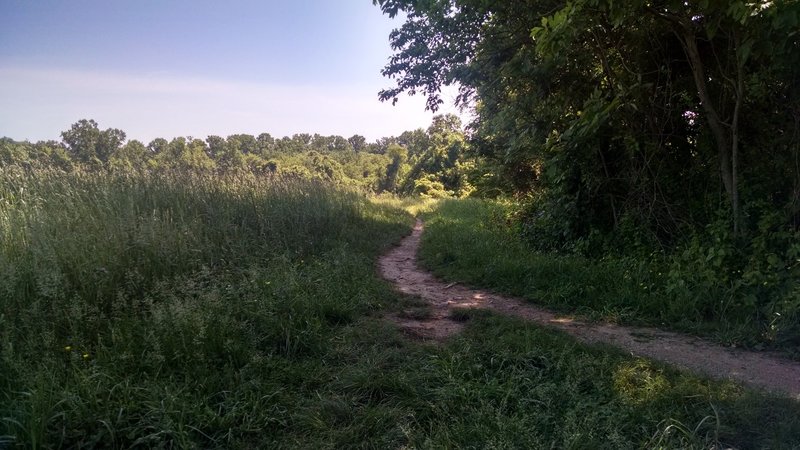 Whitely Farms singletrack.