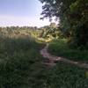 Whitely Farms singletrack.