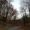 Remaining snow and colored leaves.