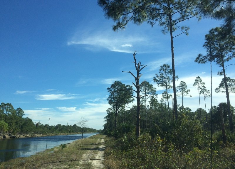 Looking east along the Golden Gate Canal. The preserve is to the right.