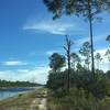 Looking east along the Golden Gate Canal. The preserve is to the right.