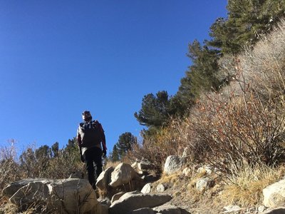 Along the trail.