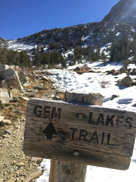 A classic wooden sign along the trail.