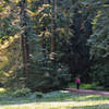 Redwood Regional Park.