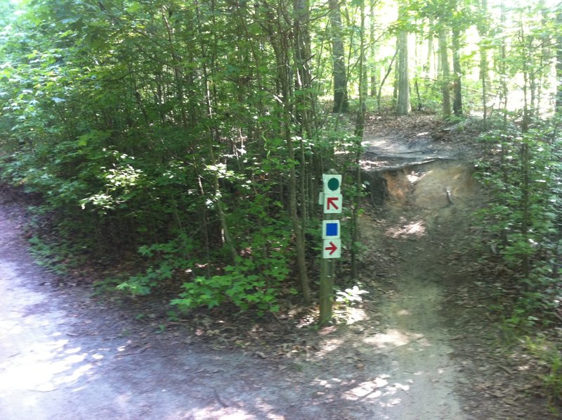 Trail signs denote branches of trail that are popular for mountain bikers. Keep an eye out for cyclists in these sections!