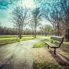 The Garden Bench. One of the nice benches along the way.