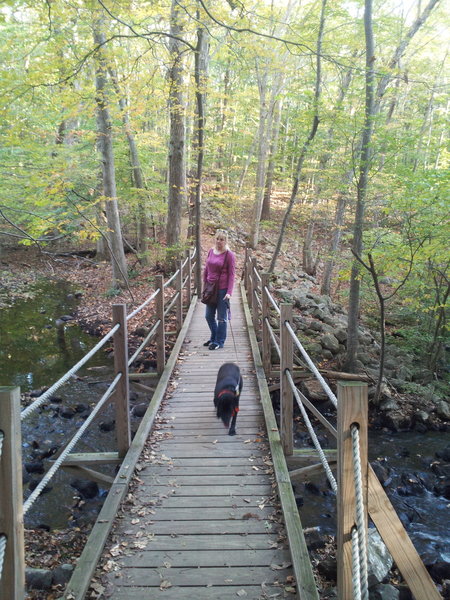 Crossing Stony Brook.