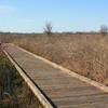 Boardwalk Trail at Cosumnes River Preserve.