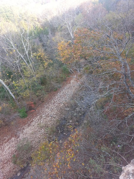 Bluff overlook of Gans Creek.