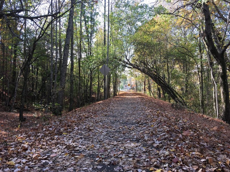 There's beautiful scenery along the Mountain Goat Trail in all seasons.