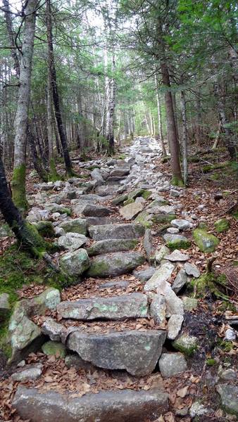 These stairs seem to go on forever.