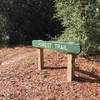 Forest Trail marker at 5 mile road crossing.