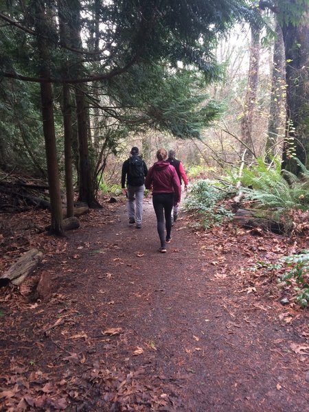 Nice trail in Carkeek Park.