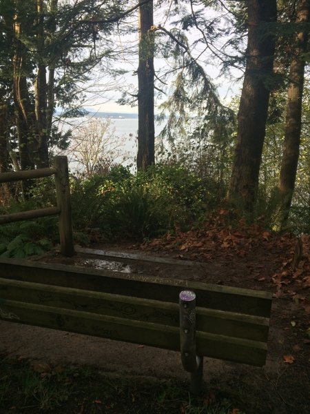 Bench with a view.